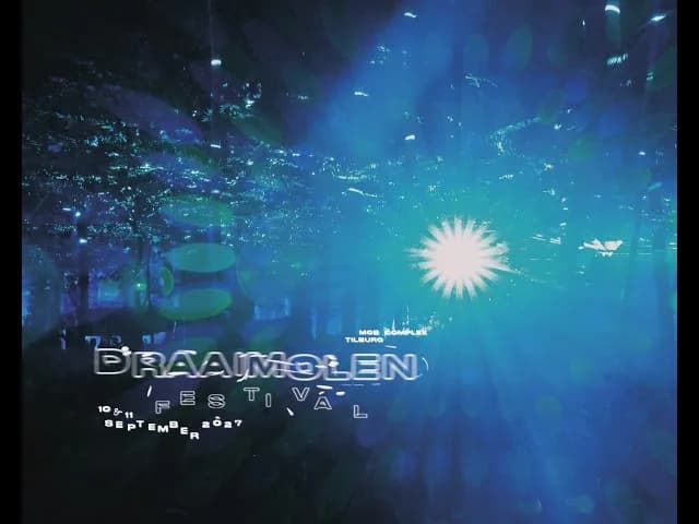 Draaimolen Festival 2027 artwork