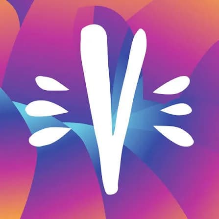Veerplas Festival 2027 artwork