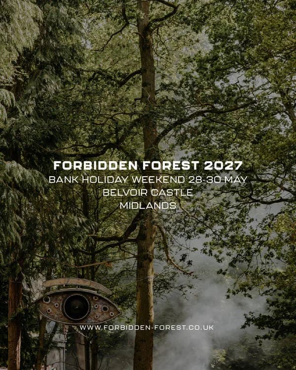 Forbidden Forest artwork